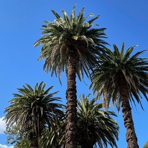 Meet your Posher, Leila